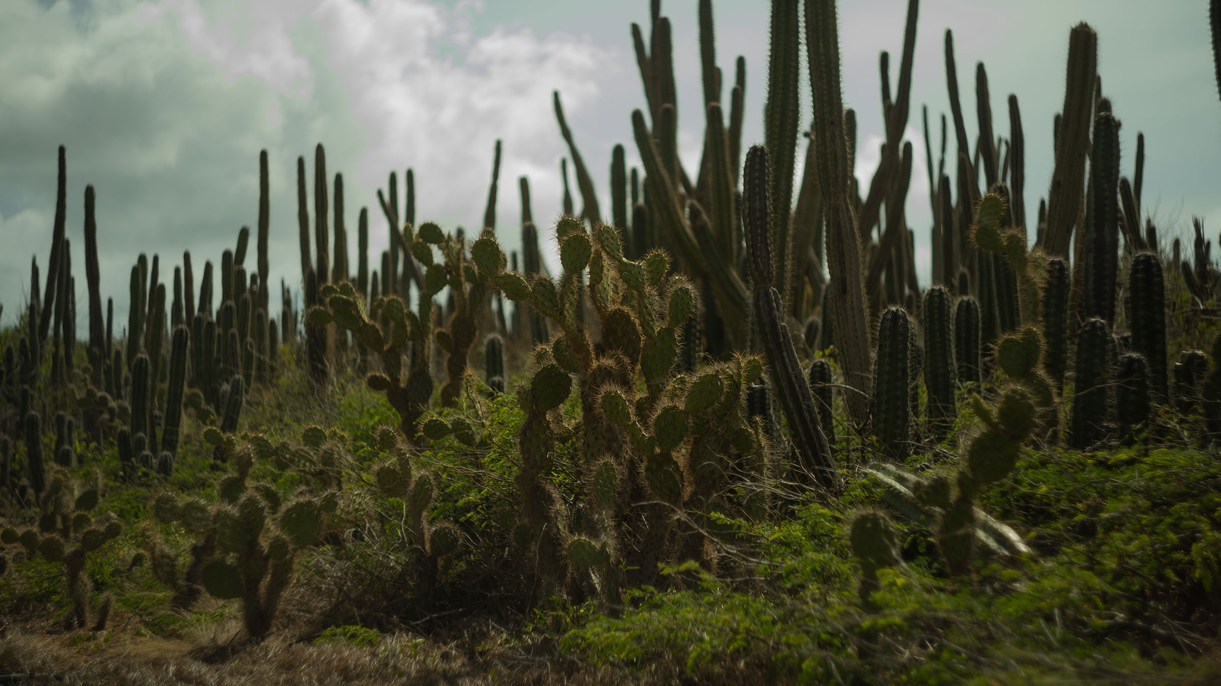 Eishockey Live-Produktion – Kopfhörer
